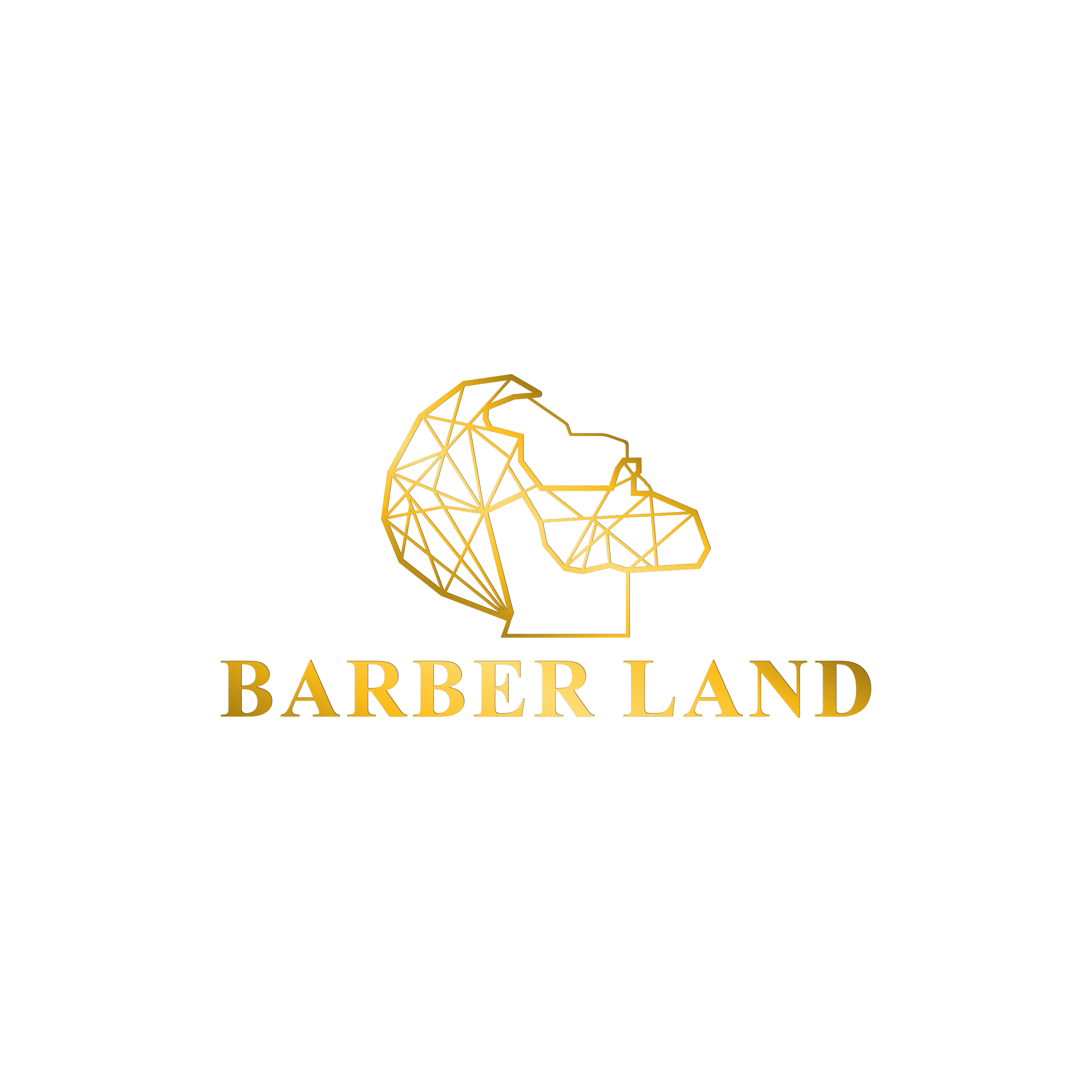 My Blog